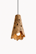 Rustic tree bark pendant light